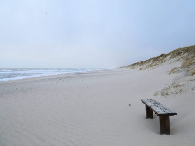 Sylt: Spaziergänger macht besonderen Fund am Strand – und nimmt ihn sofort mit nach Hause