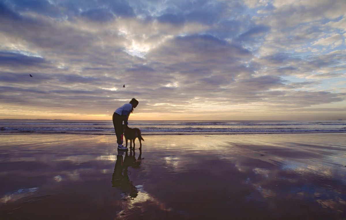 Die zehn besten Hundestrände an der Ostsee und Nordsee