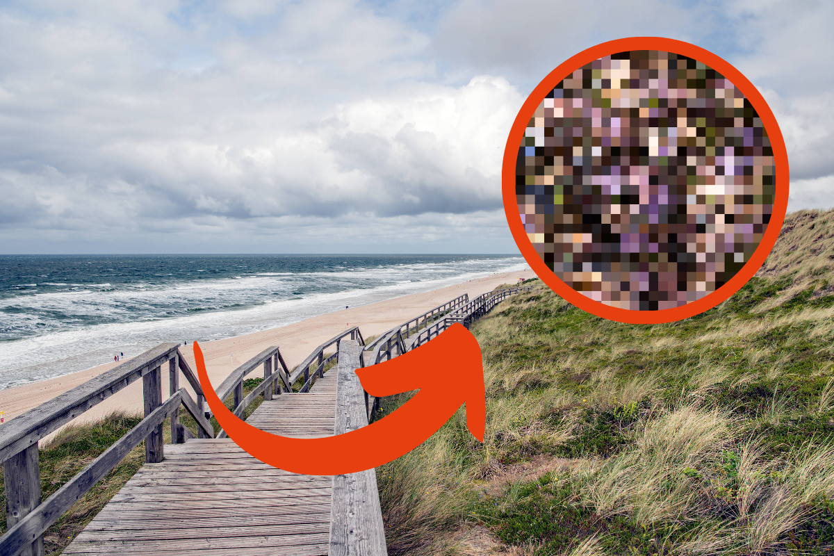 sylt