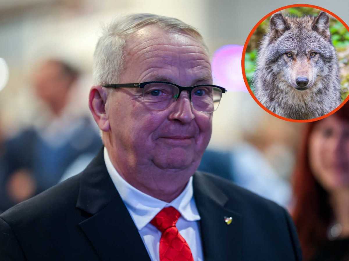 Politiker Till Backhaus (Collage).