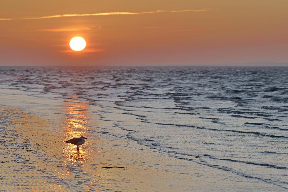 Die Insel Norderney.