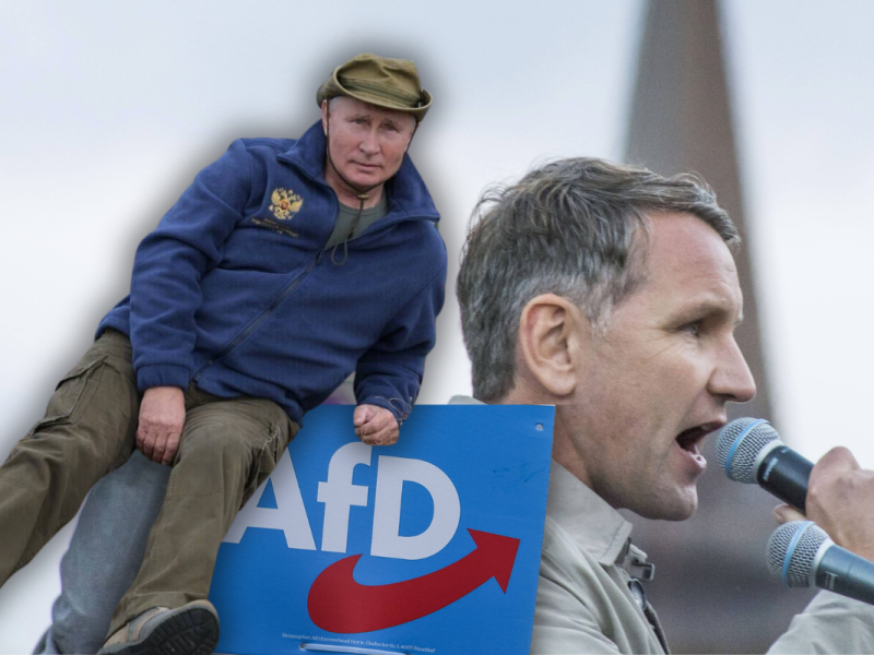 Dieser Satz macht stutzig: Diktiert Putin der AfD jetzt ihre Texte?