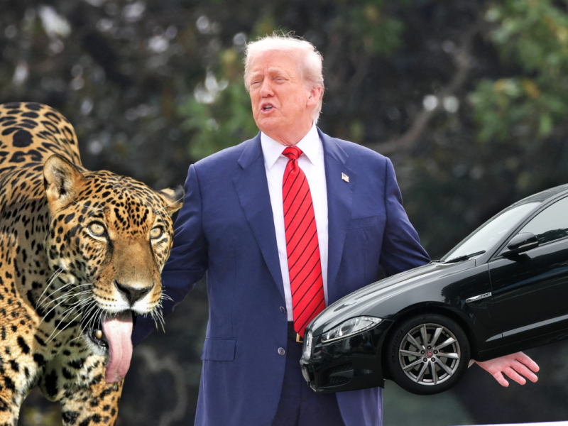 Donald Trumps neue Erzfeinde sind Jaguare