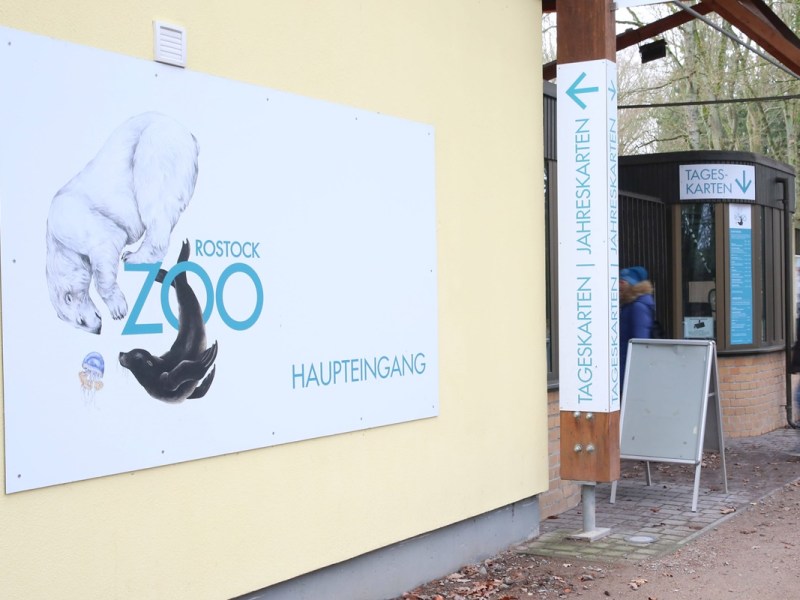 Trauriger Abschied in einem Zoo im Norden: Seltenes Jungtier muss ausziehen!
