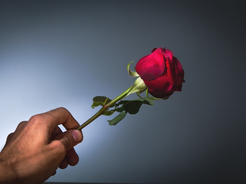 Datingshows als Influencerschmiede? Was wurde aus „Bachelor“, „Princess Charming“ & Co?